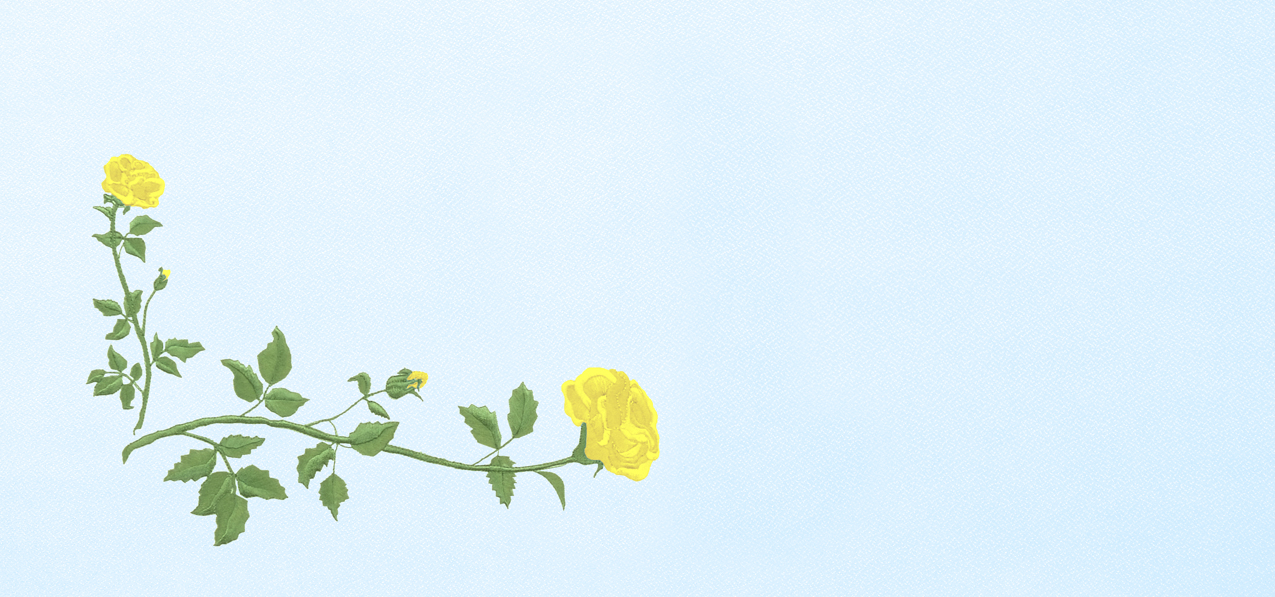 Corner Rose Yellow-Blue Faux